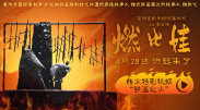 黄色在线免费观看网站