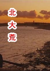 叱咤之城40集免费观看